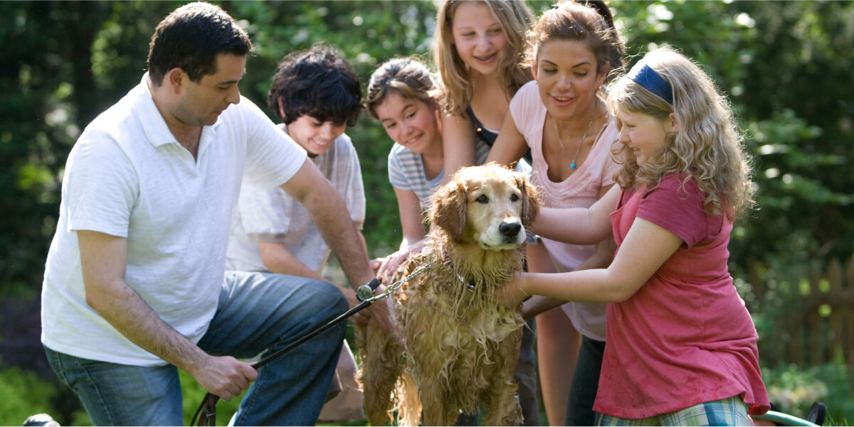 You are currently viewing How to engage the whole family in pet-caring